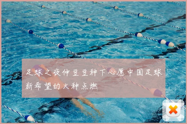 足球之夜仲豆豆种下心愿中国足球新希望的火种点燃